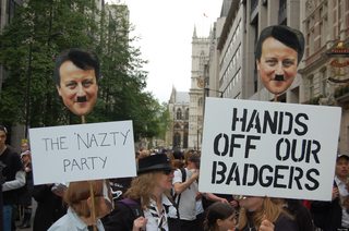 o-BADGER-PROTEST-facebook.jpg