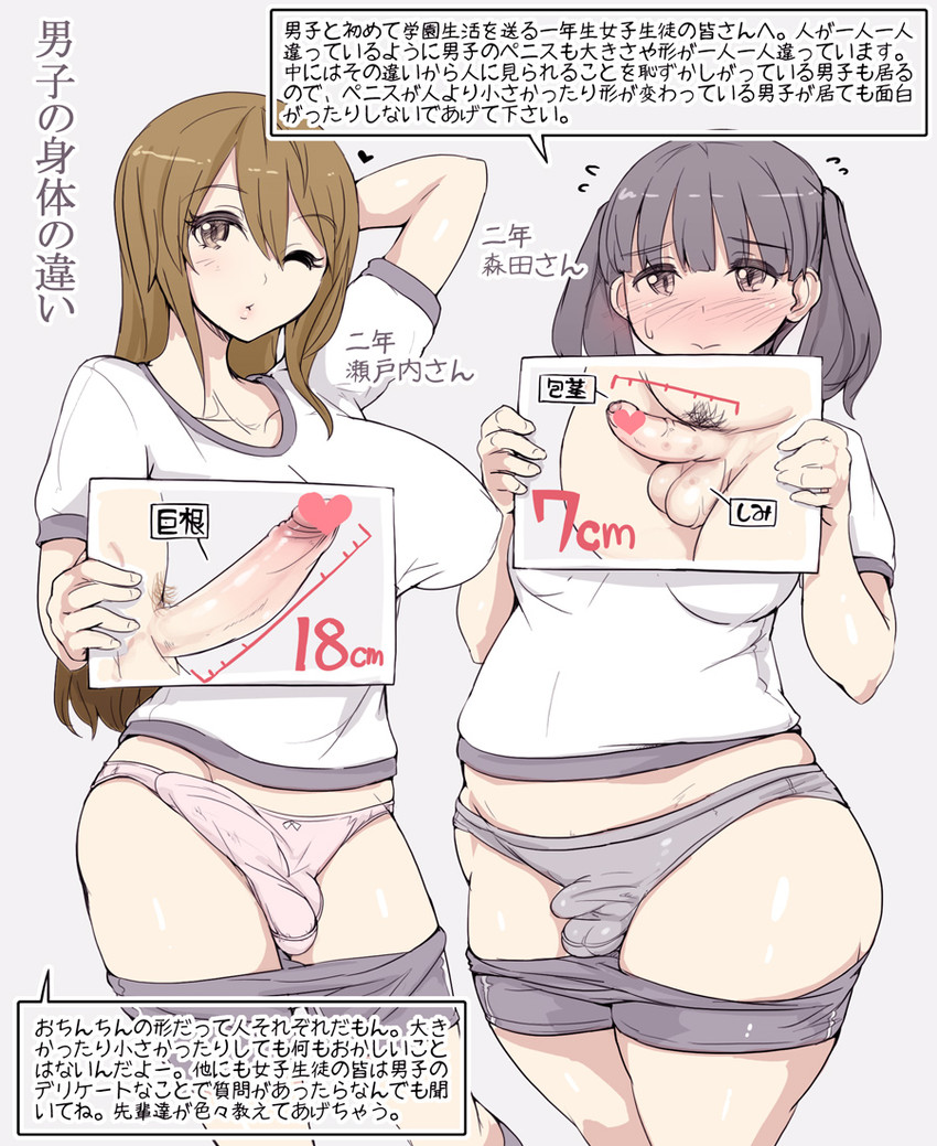 Futanari Size Comparison