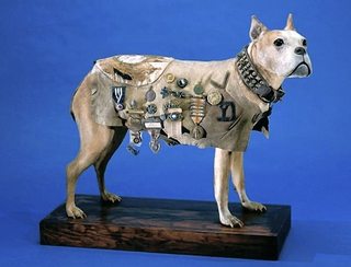 674d652c12e6641aef_sergeantstubby09.jpg