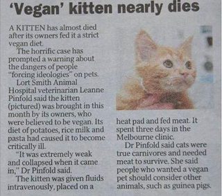 vegankitten.jpg