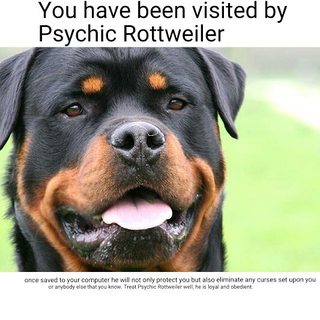 Psychic Rottweiler.jpg