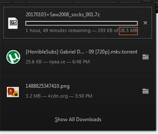 my torrent was faster.png