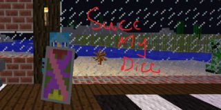 sexyminecamfFlag.png