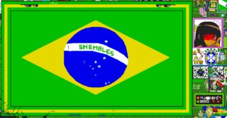 pixel_canvas_brazil home flag_griefed.png