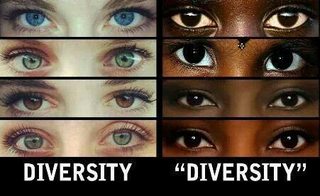 (((diversity))).jpg