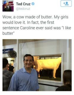 ted-cruz-ated-cruz-wow-a-cow-made-of-butter-3471632.png