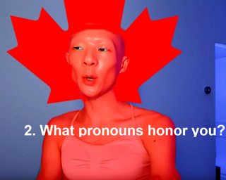 leaf pronouns.jpg