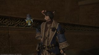 ffxiv_09142016_025051.png