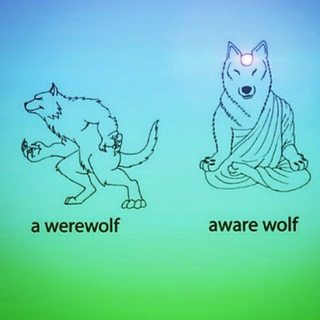 Aware wolf.jpg