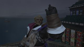 ffxiv_09072017_161558.jpg