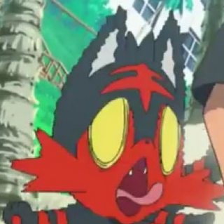 pokemon litten1.jpg